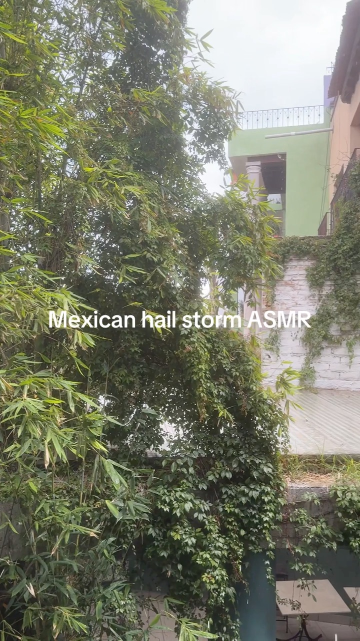 2 weeks left in San Miguel de Allende. I already miss it.

#mexico #travel #digitalnomad