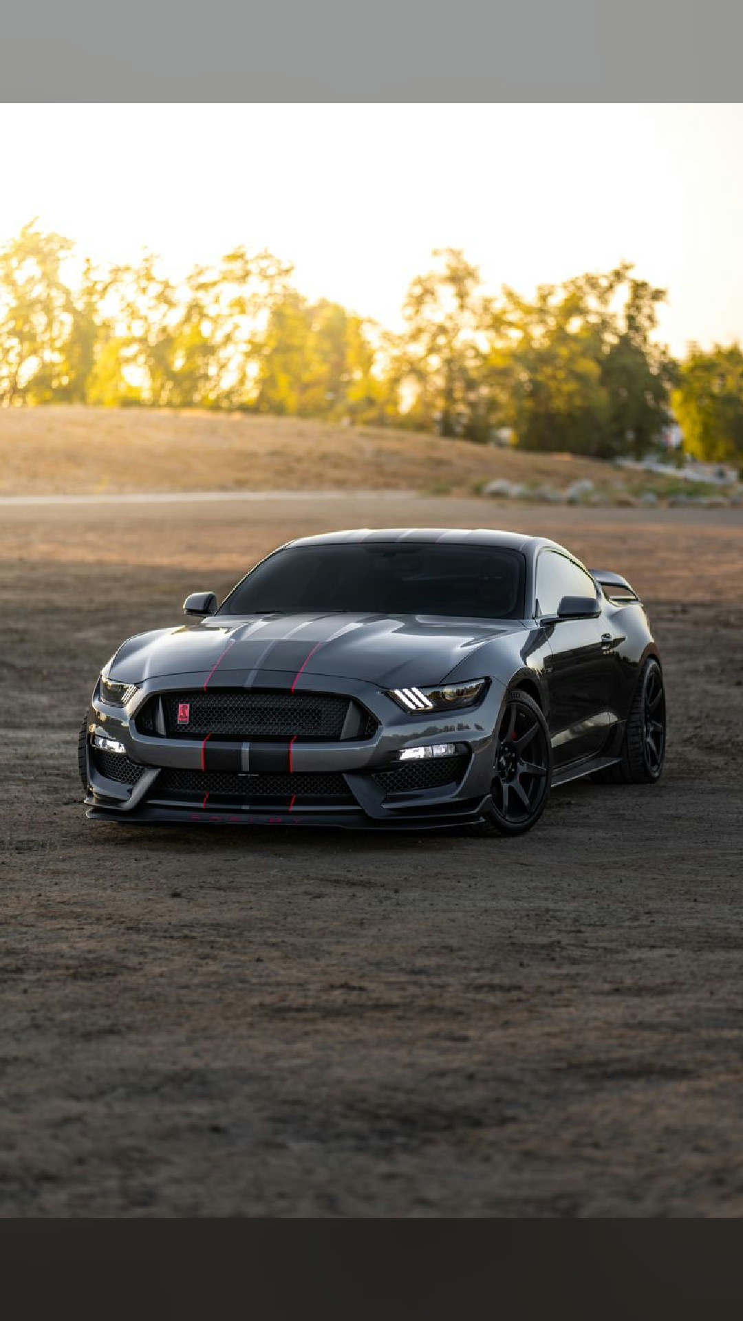 weekend cruise sorted
2020 Ford Mustang Shelby GT500
📷 Tyler Clemmensen · Pexels
#cars #carsofinstagram #muscle #ford #shelby
