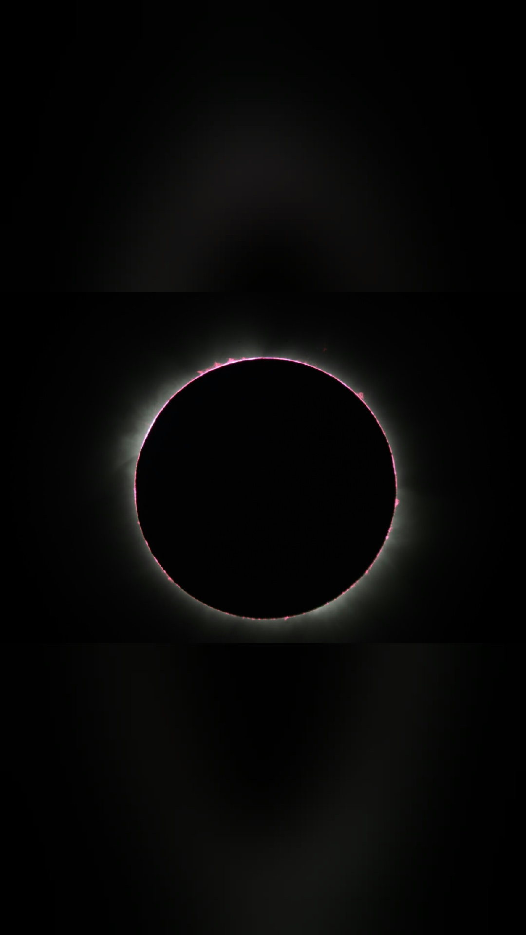 look up tonight
Solar Eclipse from Uganda
The Sun's disk was totally eclipsed for a brief 20 seconds as the Moon's dark umbral shadow raced across Pokwero in northwestern Uganda on November 3rd. So this sharp telescopic…
📷 NASA APOD
#space #nasa #astronomy #cosmos #science